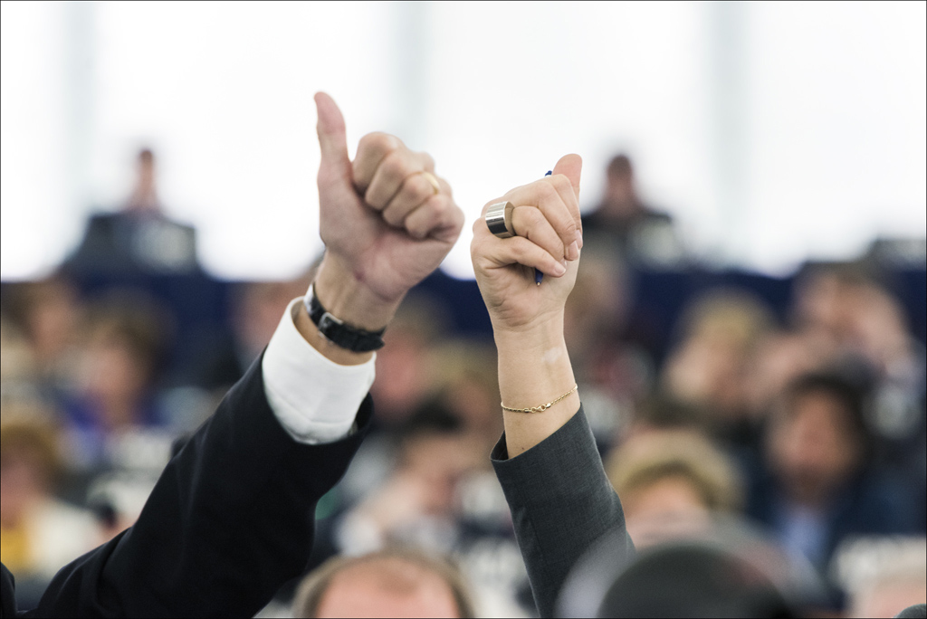 Rolet e ndryshme të eurodeputetëve